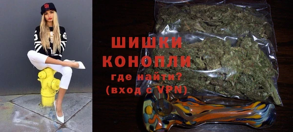 PSILOCYBIN Зеленодольск