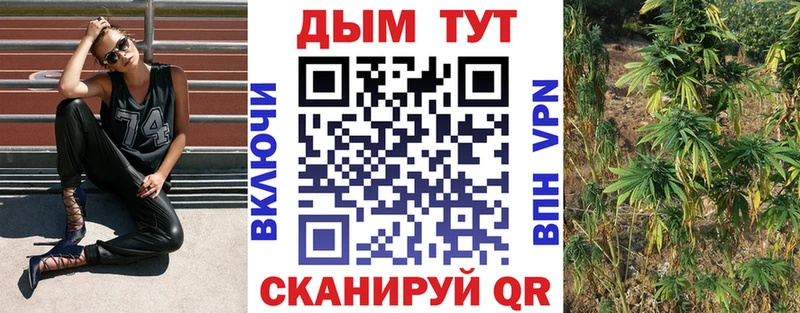 как найти   Боготол  Бошки марихуана тримм 